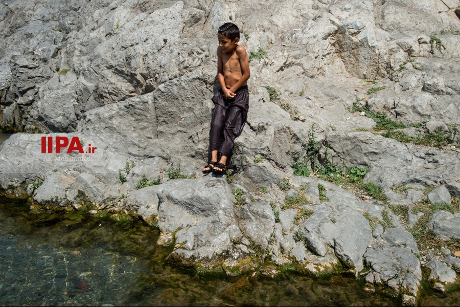   آب‌تنی در چشمه علی
