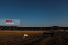   خروش خشکسالی در خراسان شمالی