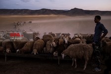   خروش خشکسالی در خراسان شمالی