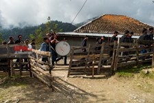   مراسم تاسوعا - روستای شامیلرزان