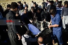   زلزله در استان کرمانشاه