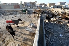   روزگار  بعد از زلزله 