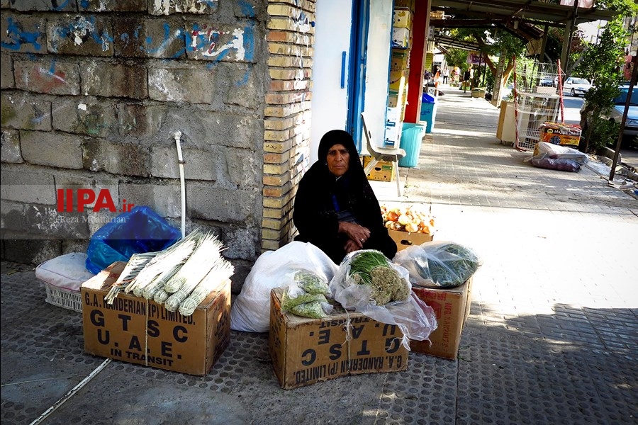   معلول زایی در روستایی «قلعه گنج» کرمان