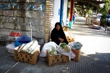   معلول زایی در روستایی «قلعه گنج» کرمان
