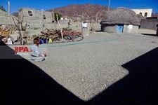   معلول زایی در روستایی «قلعه گنج» کرمان