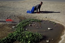   معلول زایی در روستایی «قلعه گنج» کرمان