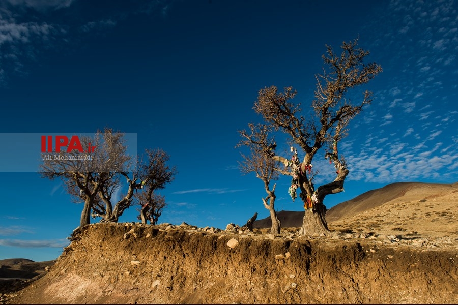   زندگی در روستای زرد کوه لرستان 