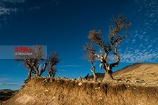   زندگی در روستای زرد کوه لرستان 