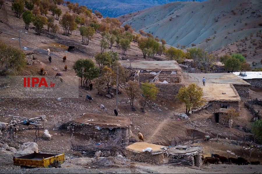   زندگی در روستای زرد کوه لرستان 