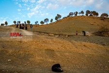   زندگی در روستای زرد کوه لرستان 
