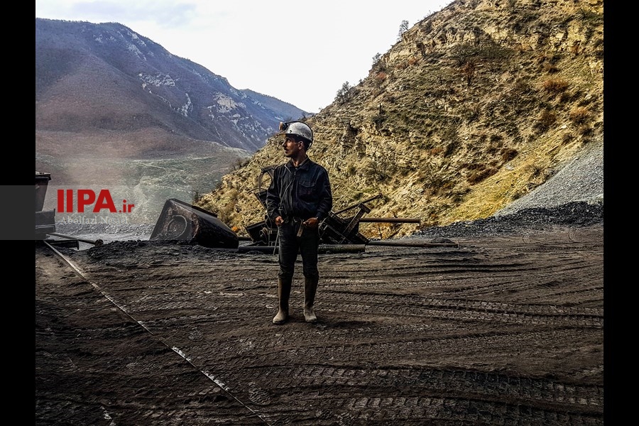   کارگران معدن زغال سنگ زرد کوه