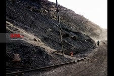   کارگران معدن زغال سنگ زرد کوه