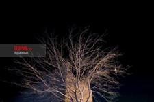   بافت تاریخی روستای سریزد