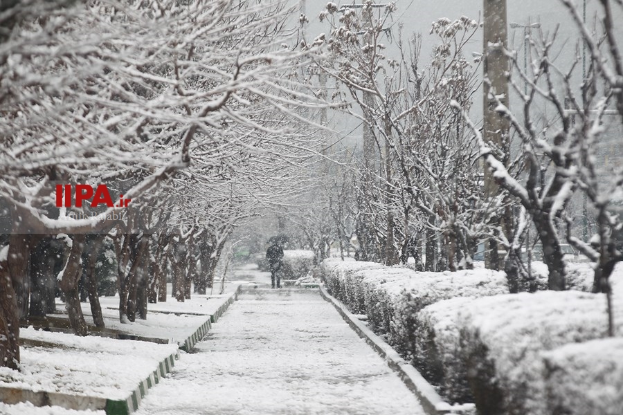   بارش برف در تهران 