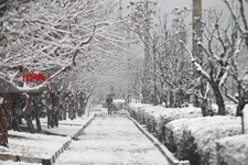   بارش برف در تهران 