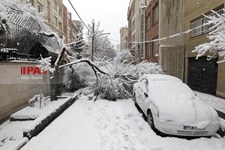   تهران برفی 