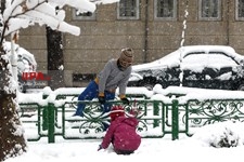   تهران برفی 