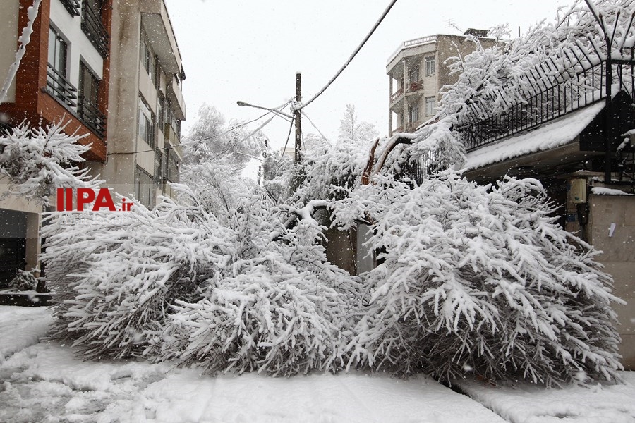   تهران برفی 