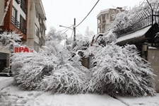   تهران برفی 