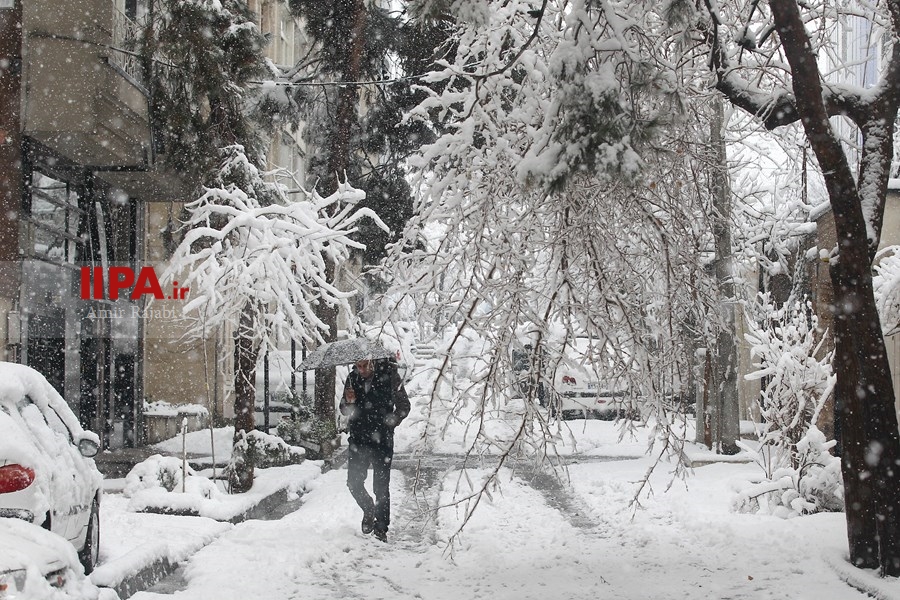   تهران برفی 