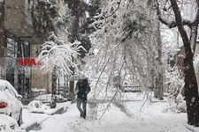   تهران برفی 