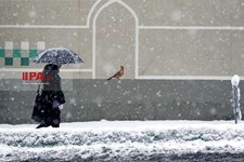   تهران برفی 