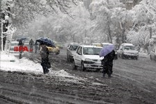   تهران برفی 