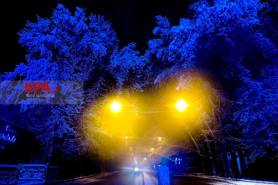   شب برفی تهران