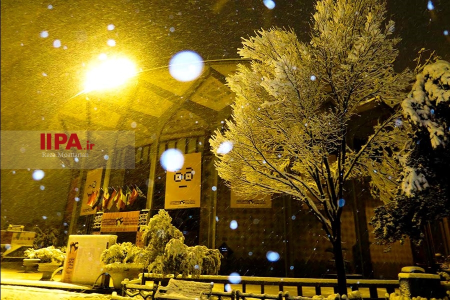   شب برفی تهران