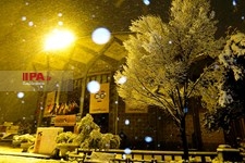   شب برفی تهران