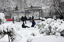   بارش برف در تهران
