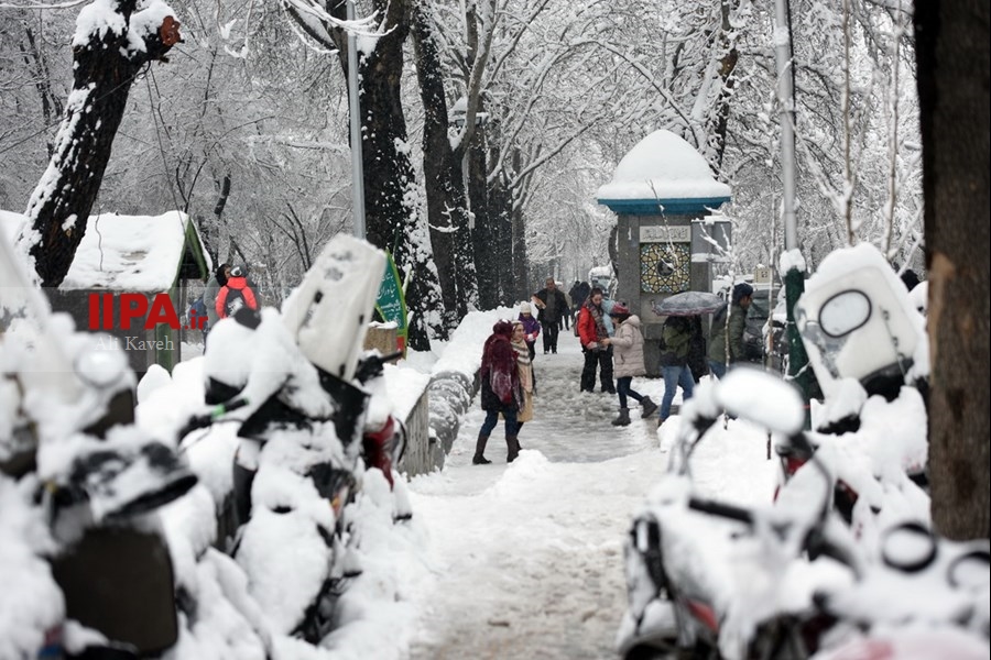   بارش برف در تهران