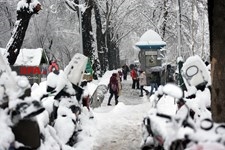   بارش برف در تهران