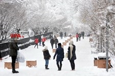   بارش برف در تهران