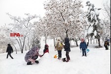   بارش برف در تهران