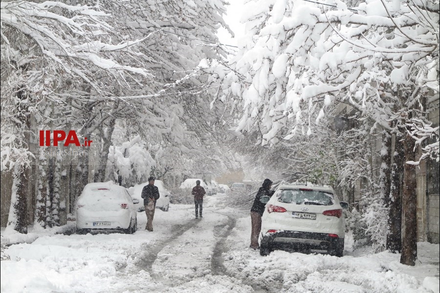   بارش برف در تهران