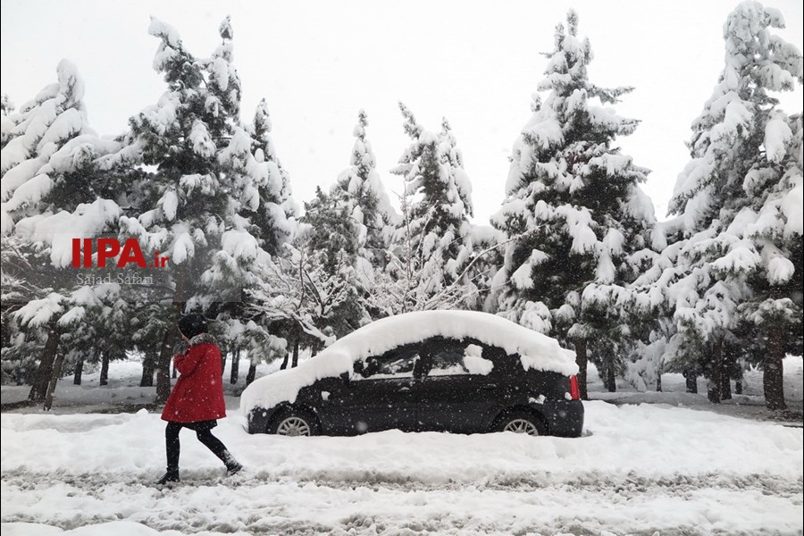   بارش برف در تهران