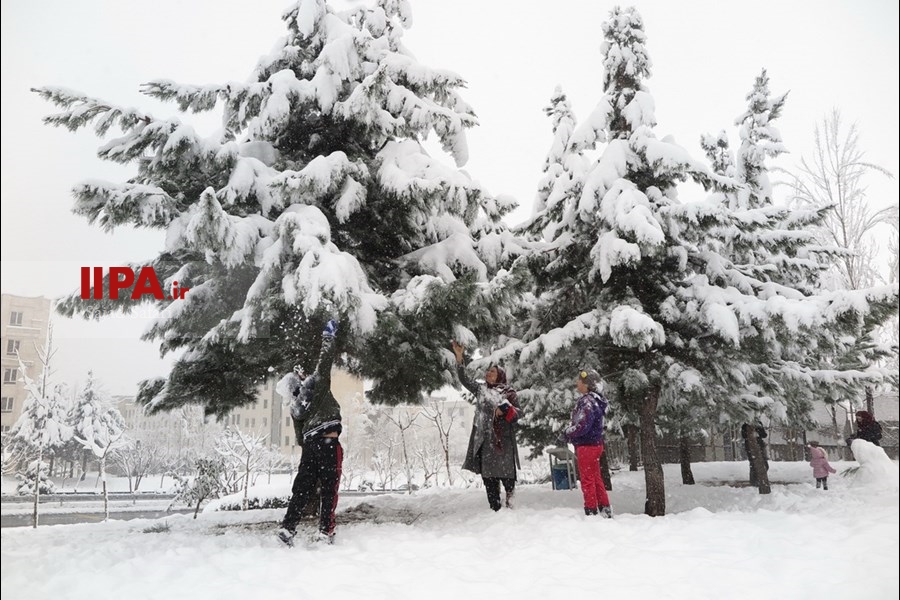   بارش برف در تهران