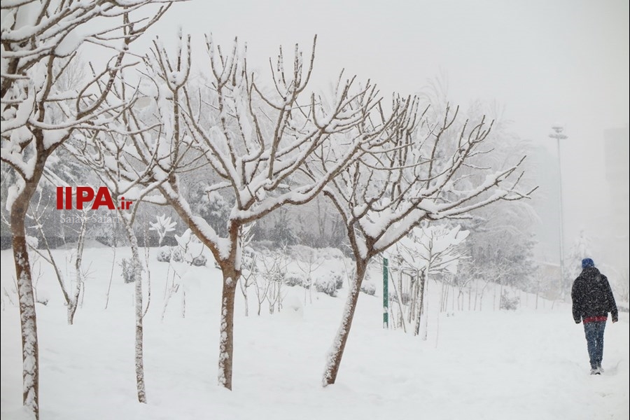   بارش برف در تهران