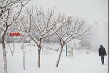   بارش برف در تهران