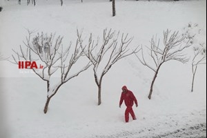 بارش برف در تهران