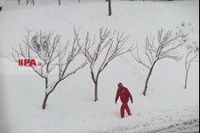   بارش برف در تهران