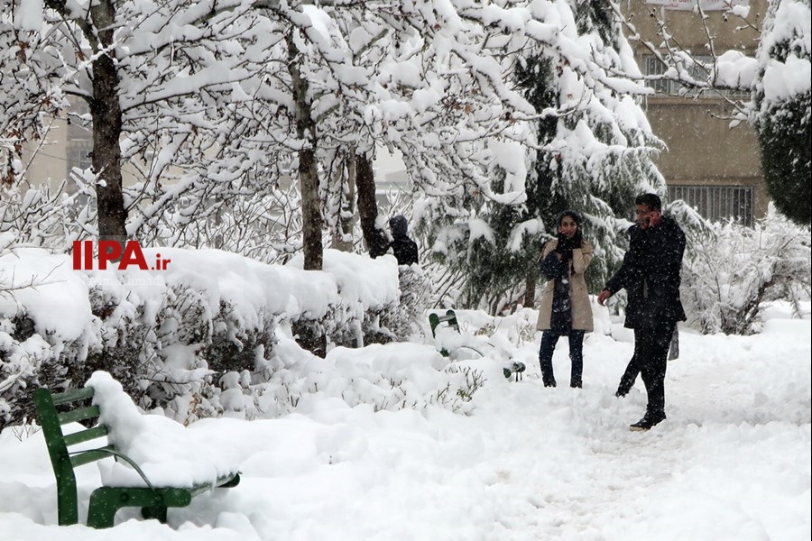   بارش برف در تهران