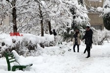   بارش برف در تهران