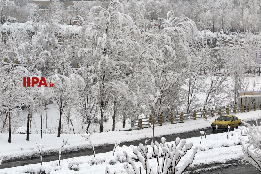   بارش برف در تهران
