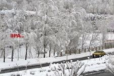   بارش برف در تهران