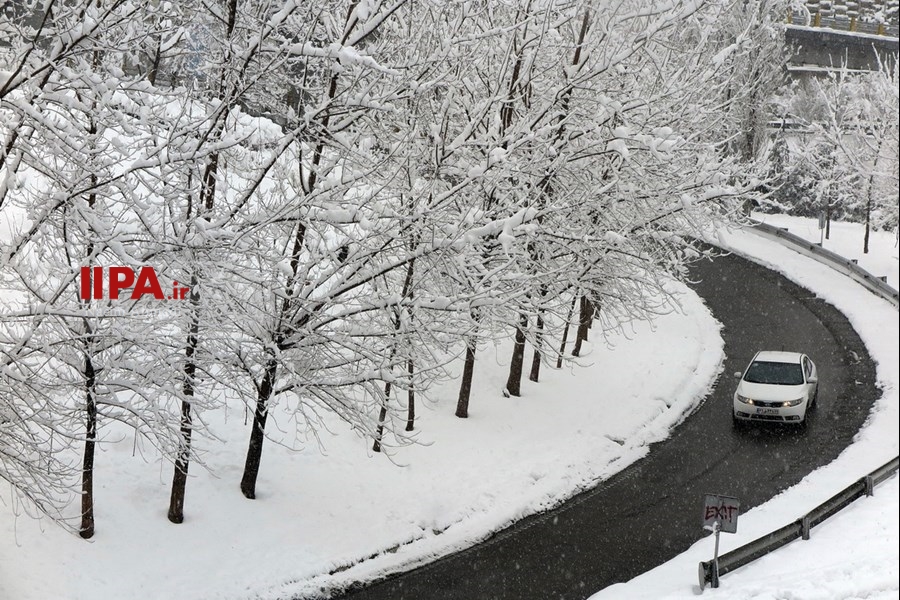   بارش برف در تهران