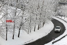   بارش برف در تهران