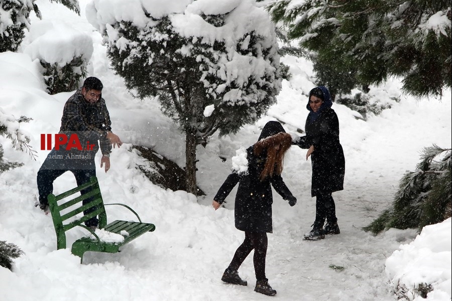   بارش برف در تهران