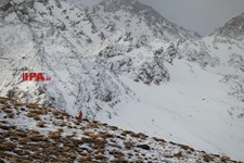   دومین روز جست و جوی هواپیمای مسافربری تهران - یاسوج